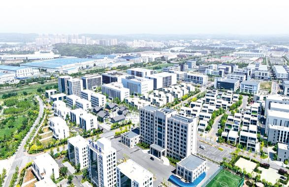 金普新区深化央地合作显成效 