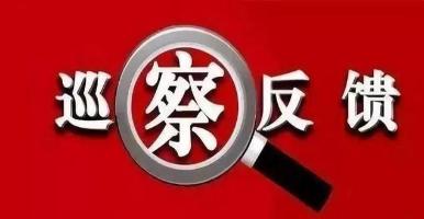 巡察进驻、反馈与整改