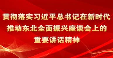 贯彻落实习近平总书记在新时代推动东北全面振兴座谈会上的重要讲话精神